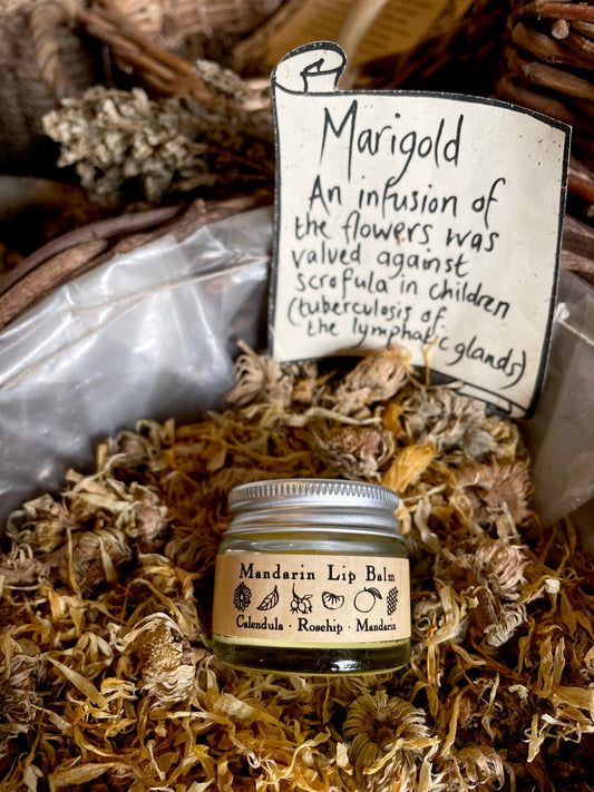 A pot of mandarin lip balm in a basket of dried marigold flowers