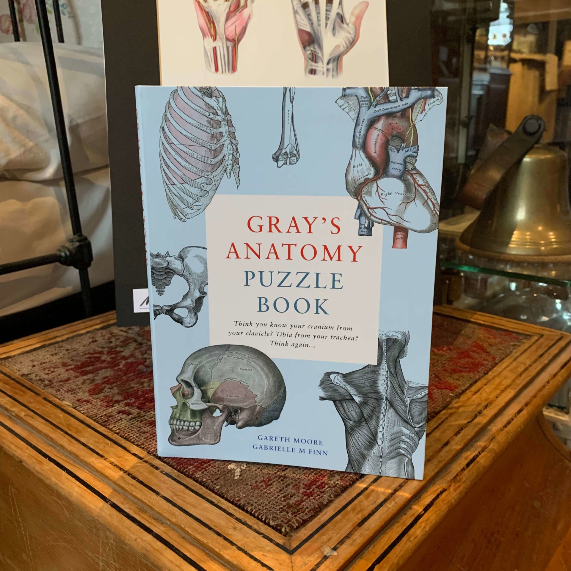 Gray's Anatomy Puzzle Book by Gareth Moore and Gabrielle M Finn